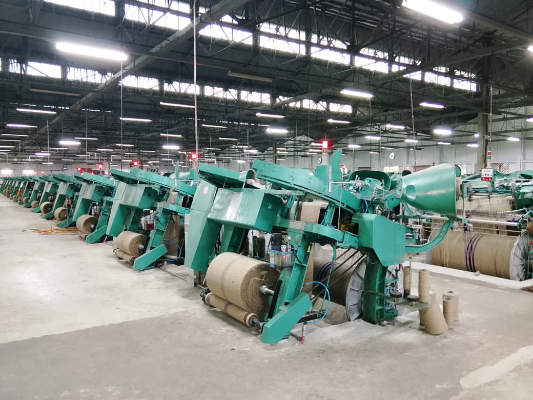 A line of green weaving looms running the length of the shed, jute cloth rolling off each machine